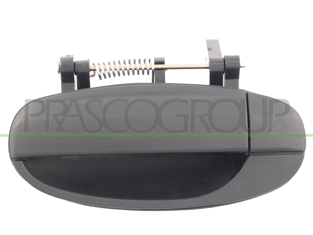 Prasco Schwarz Türgriff Dw3268102