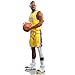 ハズブロ スターティング ラインアップ NBAシリーズ1 レブロン・ジェームズ LeBron James 6インチサイズ アクションフィギュア、限定パニーニスポーツトレーディングカード付き バスケットボール F8179 正規品