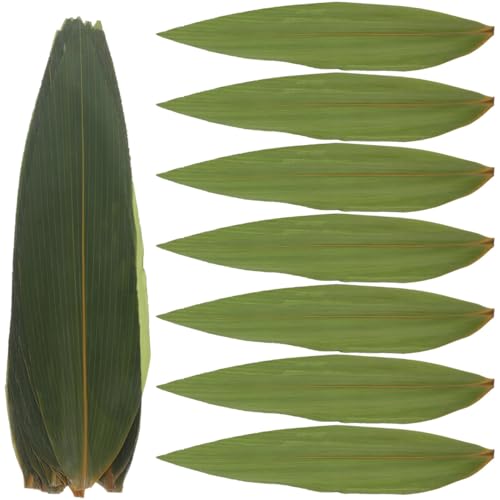 VICASKY Hojas de sushi Nori Banana chips de algas para hojas de plátano Macheb Decorativas Hojas de plátano Fresco 100 Unidades Japonesas Decorativas Esteras Sashimi Verde Hojas de Bambú Fresco