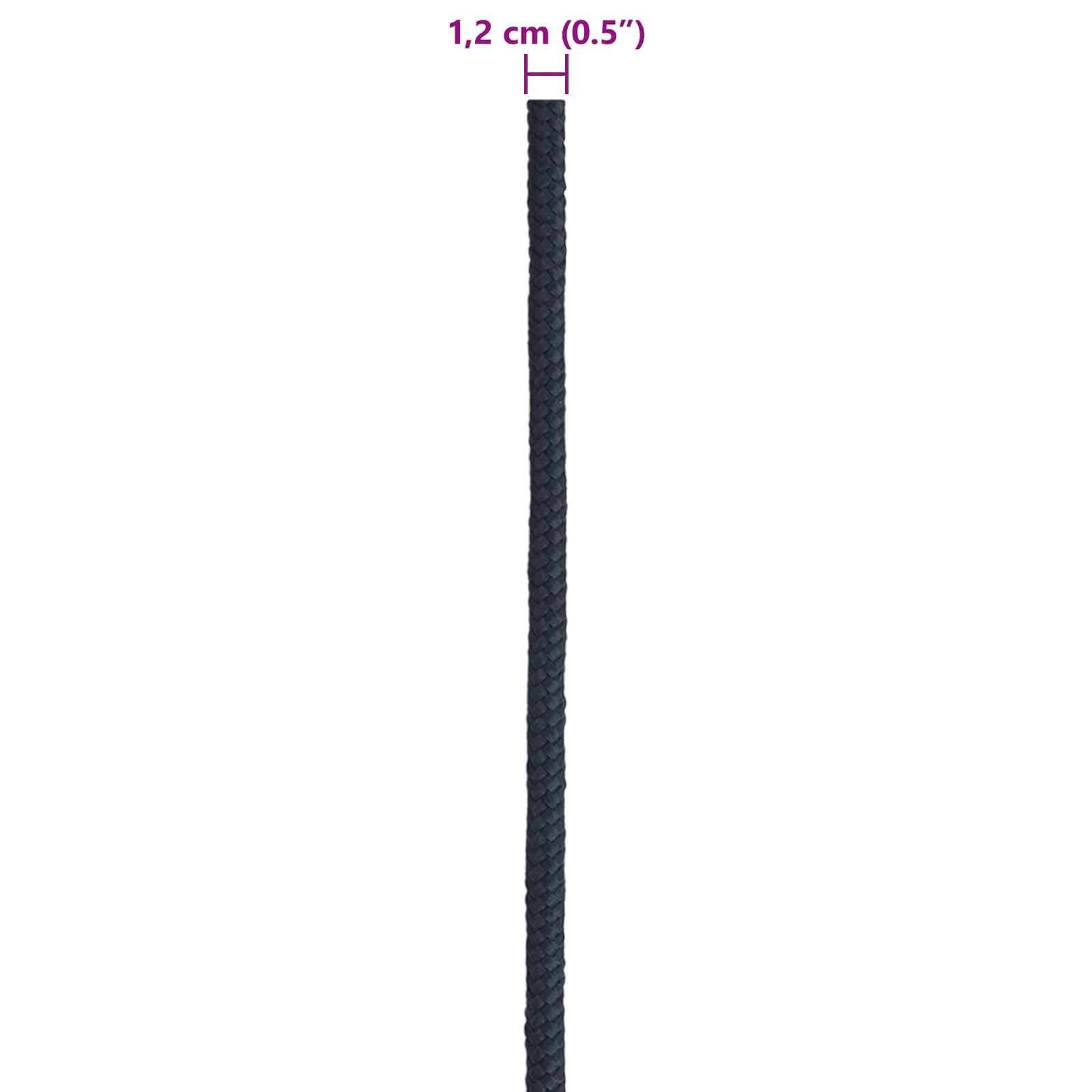 Cuerda de poliéster azul real para barco, 100 m de longitud, resistente a la intemperie y a los rayos UV, para vela, camping, jardín, construcción, taller, fijación