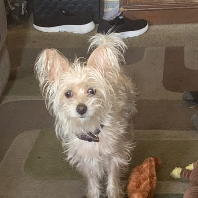 God Repudiates Your Worship (a poem)