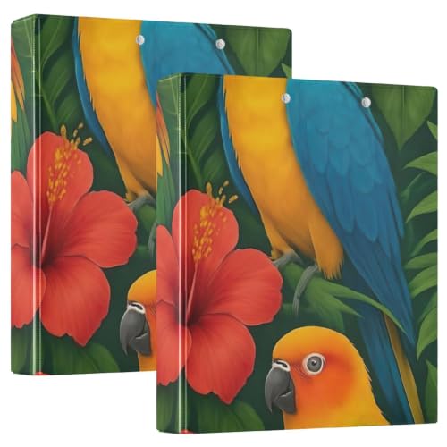 Classeur 3 anneaux perroquets colorés avec poches de rangement intérieures pratiques