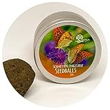 Schmetterlingstanz Seedball/Blumenmischung 10g / Premium Schmetterling Blumensamen Saatgut/Insektenfreundliches Bienenweide Saatgut/mehrjährig und einjährig/Geschenkidee