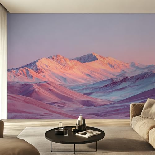 Fresque Murale Intissé pour Agrandir une Grande Chambre Parentale - 4
