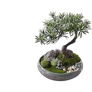 Kunstmatige Bonsai Boom Levensechte Podocarpus Pine Simulatie Gazon Natuurlijke Kiezels Keramische Portret Keramische…