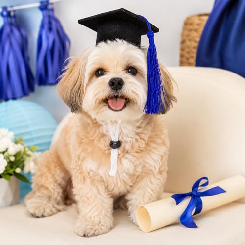 Gorros de graduación para perros pequeños LUOZZY M miniatura 3