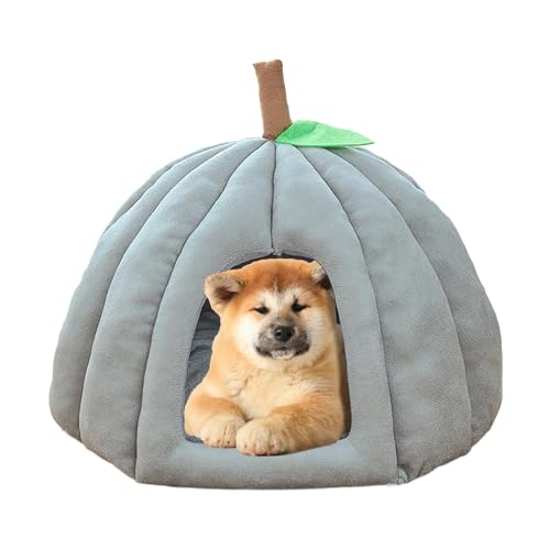 Cama para gatos de interior – Casa antideslizante para gatos, camas lavables para perros, casas y condominios con puerta pequeña para gatos y perros pequeños