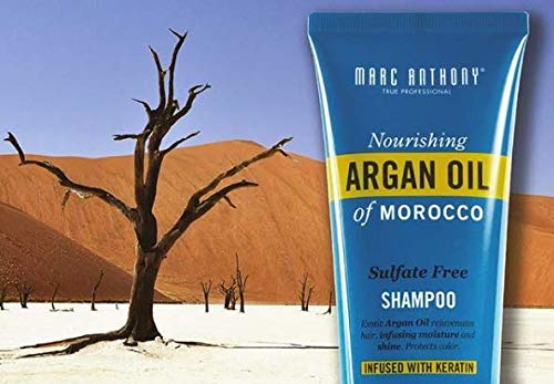Marc Anthony Argan Oil Shampoo 8.4 Ounce Tube(No Sulfate) (248Ml) #TOP1