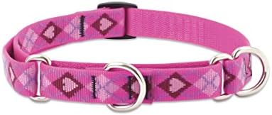 LupinePet Originals 3/4" Puppy Love 14-20" Martingale Collar for Medium and Larger Dogs image 3