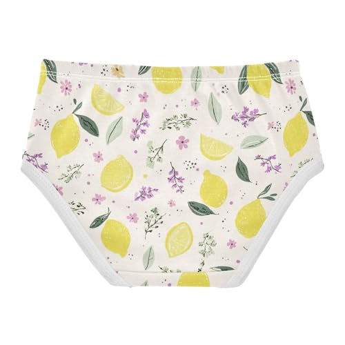 Wusikd Lemon Lavender Girls' Underwear Cotton Girls Briefs Soft Toddler Underwear 2T2
