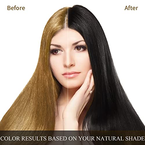 Ivnil Augeas Black Hair Dye Shampoo For Gray Hair Augeo Instant Hair Color Shampoo 3 In 1 For Women And Men, Herbal Ingredients 100% Grey Hair Coverage 500Ml #TOP3