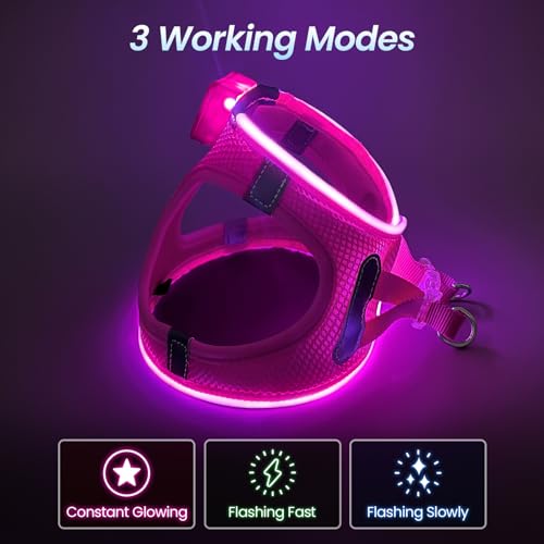 Light Up Dog Harness with Rechargeable LED, Waterproof Reflective Dog Harness Glow in the Dark - Image 2