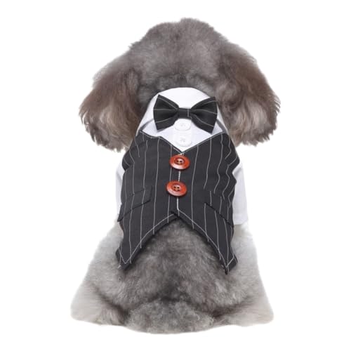 JUNENTER �`�F�b�N�� ���p �^�L�V�[�h �R�X�v�� �� �y�b�g �E�F�f�B���O �ߑ� �q�� �N���X�}�X �p�[�e�B�[ �t�H�[�}�� �R�X�`���[�� �A�p���� (S)