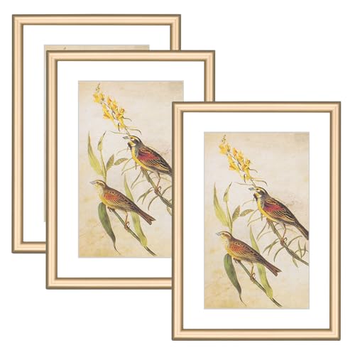 Fkvat 4x6 Brass Aluminum Frames 3Pack Fits 3x5 Mat Tabletop&Wall