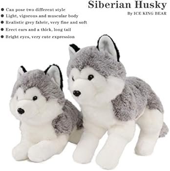huge husky teddy