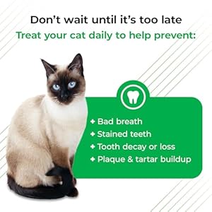 Vetriscience perio plus cat teeth cleaning bites  advanced cat breath freshener  dual action cat dental care formula for plaque control  fresh breath 60 chews chicken flavor​   cucciolini doodles
