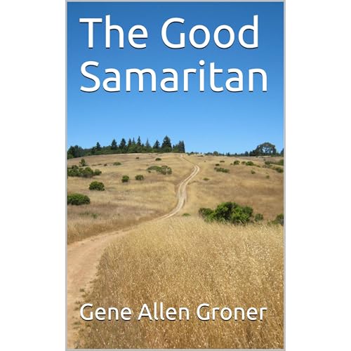 The Good Samaritan Audiolibro Por Gene Allen Groner arte de portada