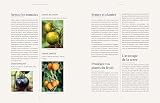 Tout le monde peut jardiner !: Les 7 règles pour récolter légumes, herbes aromatiques et fruits en abondance