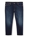 bt salsa jeans 502 Taper B&T Levi\'s Big and Tall Herren 502 Taper B&T Jeans, Biologia ADV, 48W/34L