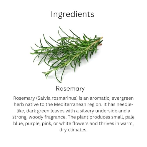 Image of Khadi Natural Rosemary Hair Shampoo for Hair Fall Control, Dandruff Care & Hair Growth - Herbal Cleanser for Men & Women - Gentle Daily Use | 210ml