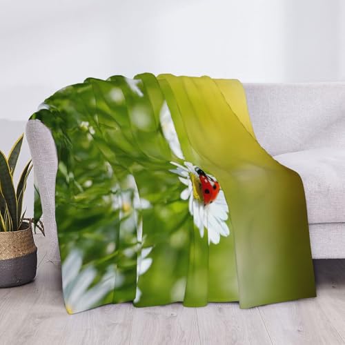 Couverture flanelle Ladybug plaid doux pour vos soirées sur le canapé - 5