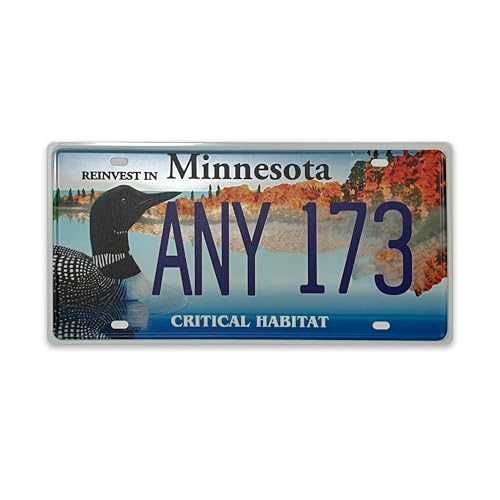Retro Minnesota License Plate Car Decor License Plates,Room Decoration,License Plate Souvenir,Retro Rusty Metal License Plate Souvenir Front of Car Decorative 12"X6"-23