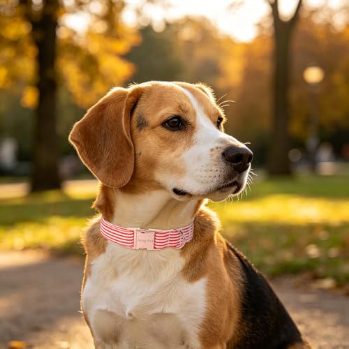 Image of ARING PET Cute Dog Collar for Puppy Small Medium Large Dogs-Red Stripe S | Cute Christmas Heavy Duty Pet Collars with Metal Buckle for XS S M L XL Dogs, for Beach Trips Picnic Daily Outdoor Stroll