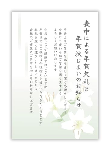 r͂ 20yN󂶂܂/ڍ׋Lsvz͂ CNWFbgΉyt`ȂSʃvdグzpsCMOJ-602-20