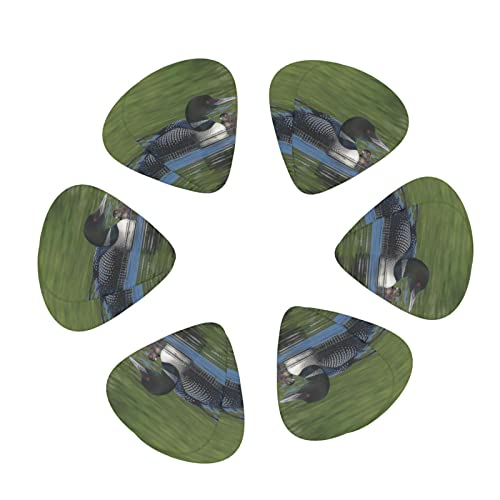 Pack de 12 médiators Loon Nature Bird médiators pour guitare électrique guitare acoustique diverses guitares - Les Beatles, Paul McCartney, John Lennon, RIngo Starr, George Harrison Pack de 12 médiators Loon Nature Bird médiators pour guitare électrique guitare acoustique diverses guitares