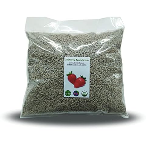 Sunflower Seeds, 5 Pounds Raw, Hulled, Unsalted, No Salt, USDA Certified Organic, Non-GMO Bulk, Product of USA, Mulberry Lane Farms Cover