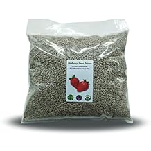 Sunflower Seeds, 5 Pounds Raw, Hulled, Unsalted, No Salt, USDA Certified Organic, Non-GMO Bulk, Product of USA, Mulberry Lane Farms