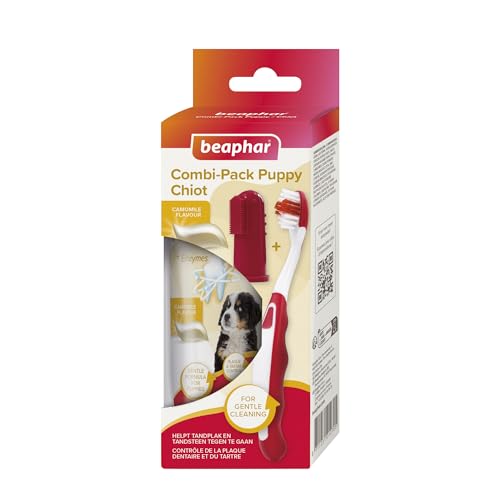 Puppy Dental Kit