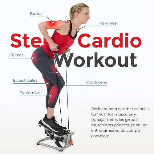 Variante de SUNNY HEALTH & FITNESS maquina step SF-S0978 Mini Hogar