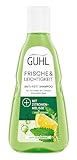 Guhl Frische & Leichtigkeit Anti-Fett Shampoo - Inhalt: 250 ml - Haartyp: fettig, normal