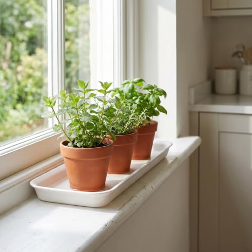 Pots longs et étroits accessoires de drainage plastique - 6