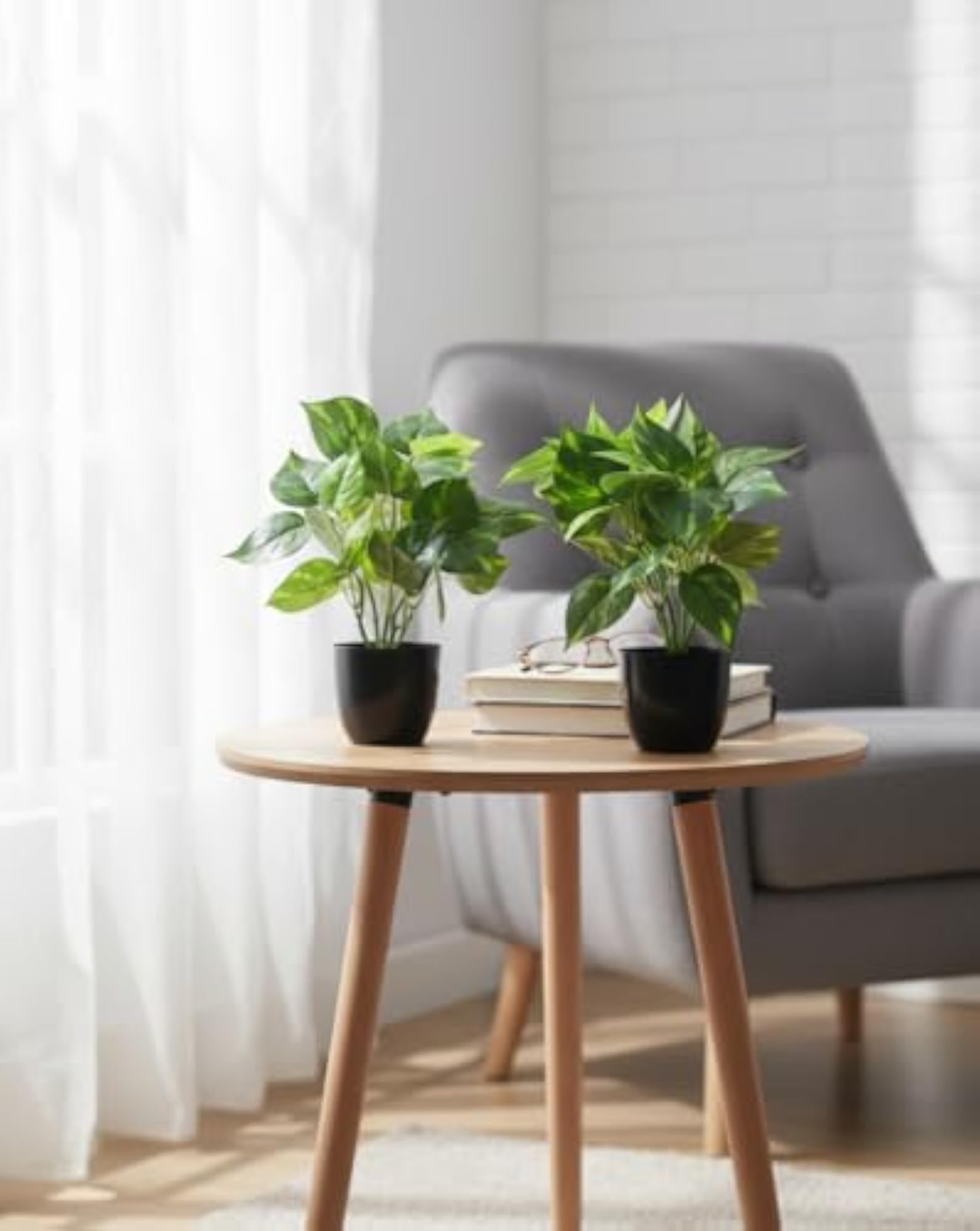 Artificial Money Plant in Black Pot - Set of 2