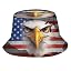 Bald Eagle and American Flag 6