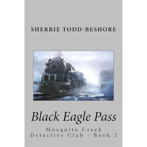 Black Eagle Pass Audiobook By Sherrie Todd-Beshore cover art