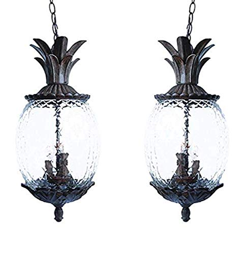 Acclaim 7516BC Lanai Collection 3 Outdoor Light Fixture Hanging Lantern, Black Coral-2 Pack, 2 Count
