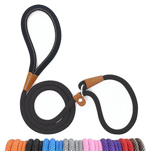 Lynxking Dog Leash in Action