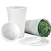 Todd’s Seeds - Seed Sprouting Kit with Mung Bean Seeds – Easy to Use Sprouting Cup - Complete Seed and Bean Sprout Growing Kit #2