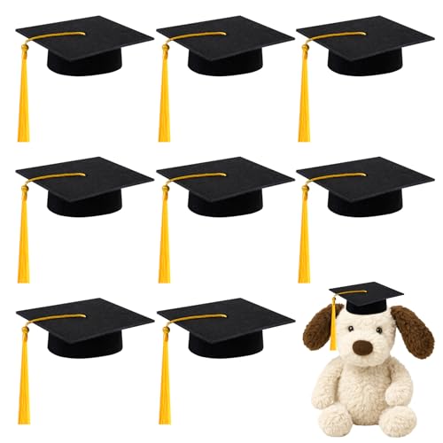 SVKN 9 Pcs Mini Graduation Cap with Tassel Mini Plush Mason Jar Small Animal Bachelor Hat Graduation Decoration Party Favors