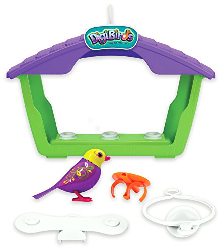 DigiBirds - Birds with Bird House