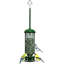 Squirrel Buster Mini Squirrel-Proof Bird Feeder for Wild Birds 4 Metal Perches, 1 lb Seed Capacity, Chew-Proof Design, Lifetime Care, Garden Green