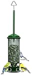 Squirrel Buster Mini Squirrel-Proof Bird Feeder for Wild Birds – 4 Metal Perches, 1 lb Seed Capacity, Chew-Proof Design, Lifetime Care, Garden Green