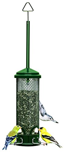 Squirrel Buster Mini Squirrel-proof Bird Feeder w/4 Metal Perches, 0.98-pound Seed Capacity #1