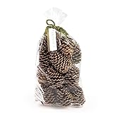 ANDALUCA Pinecone Vase & Bowl Fillers | Scented...