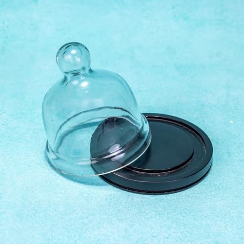 Image of Dusk Acacia Wood Cake Stand with Glass Dome, Black Finish | Perfect for Pastries, Desserts, Donut Cake, Cupcakes & Cookies