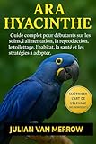 ARA HYACINTHE: Guide complet pour débutants sur les soins, l'alimentation, la reproduction, le toilettage, l'habitat, la santé et les stratégies à adopter.