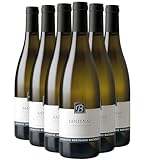 AOC Santenay Blanc, Région Bourgogne, France